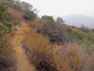 View northeast from near the top Van Tassel Ridge Trail in Fish Canyon