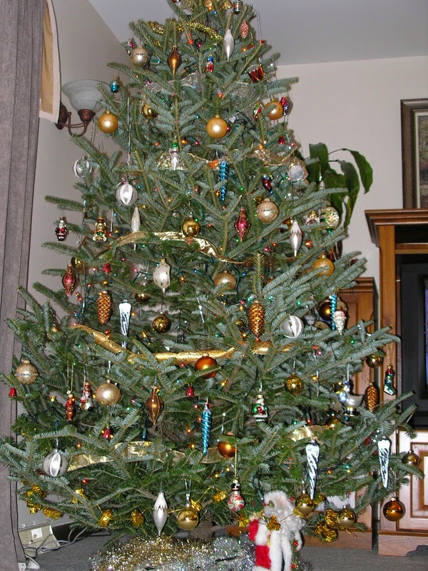 Choose your Christmas tree