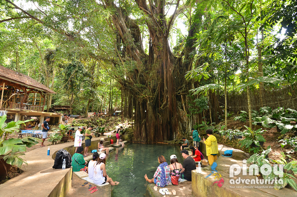 SIQUIJOR ITINERARY: 10 Best SIQUIJOR TOURIST SPOTS and Things to Do