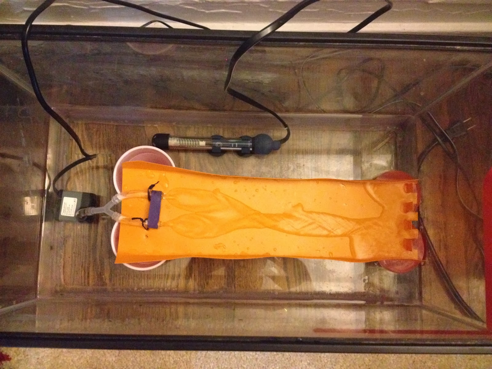 Raspberry Pi Powered Hydroponics: 2013