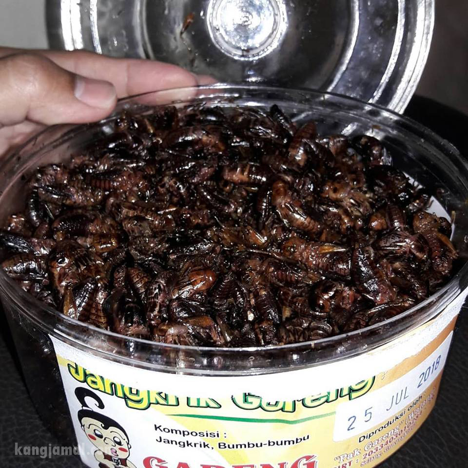 Contoh Proposal Usaha Keripik Pisang Coklat Berbagi