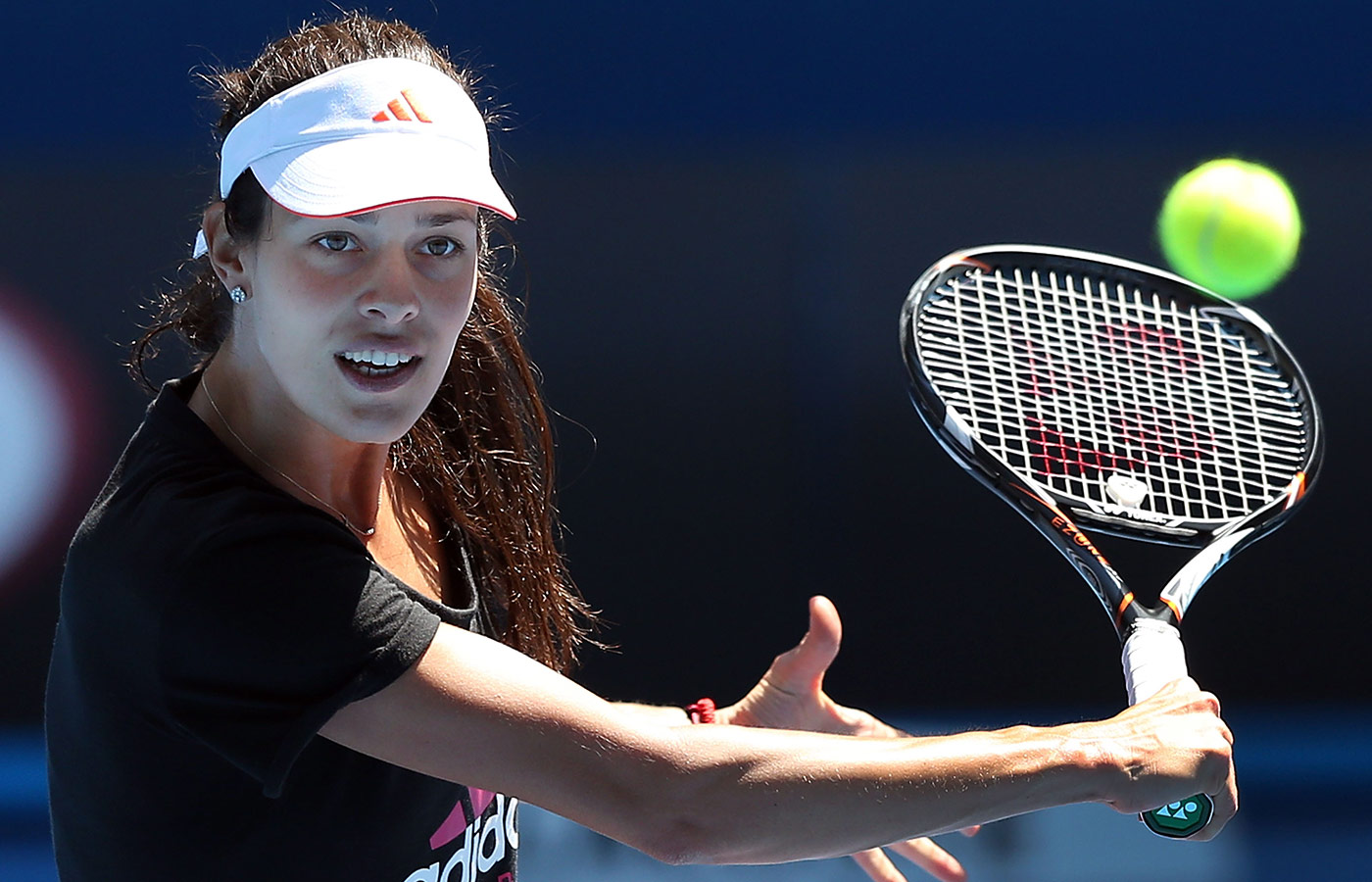 TopSpin Australian Open 2013 Practice Session