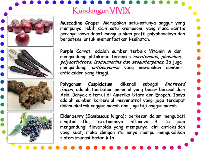 Image result for vivix