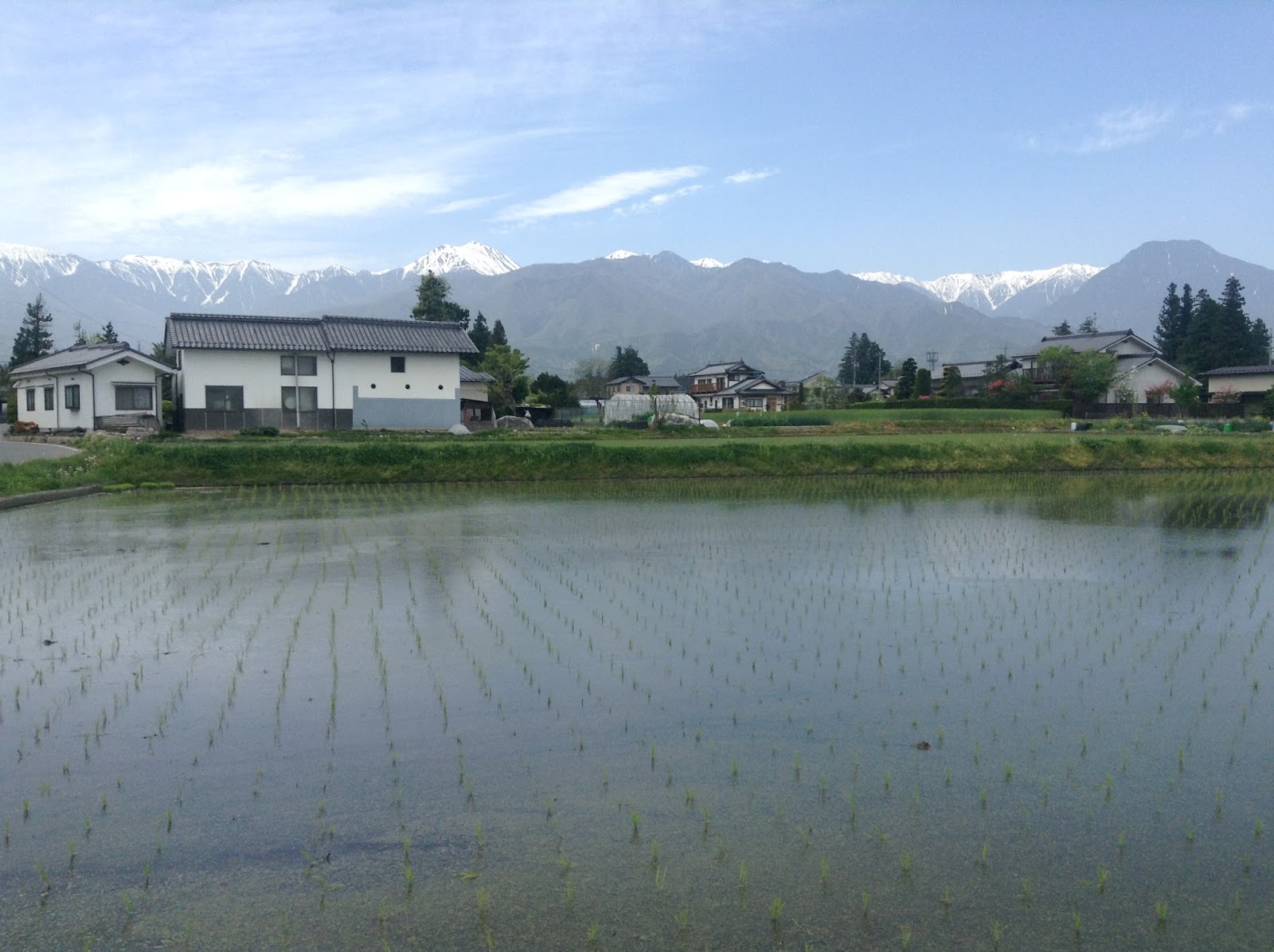 JapanDo Cycle to Daio Wasabi Farm in Azumino