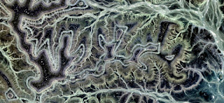 Homage to Van Gogh,Labyrinth of Passion between minotaurs camouflaged snakes that slither, plants entangle including abstract landscapes of deserts of Africa from the air,Munimara Abstract Naturalism, Tribute to Van Gogh,allegory of the mimicked viper lurking among the vegetation of an oasis in the African desert,abstract landscapes of deserts of Africa from the air,