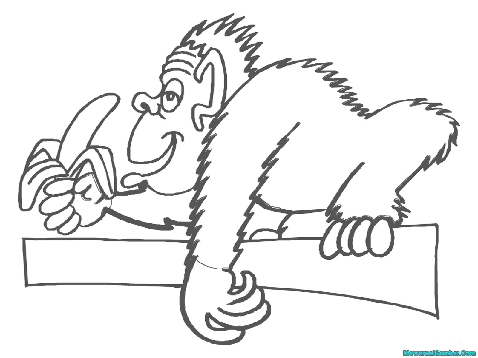 Mewarnai Gambar Gorila Memakan Buah Pisang Makan