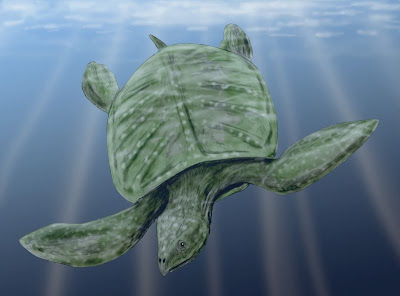 tortuga gigante prehistorica Archelon