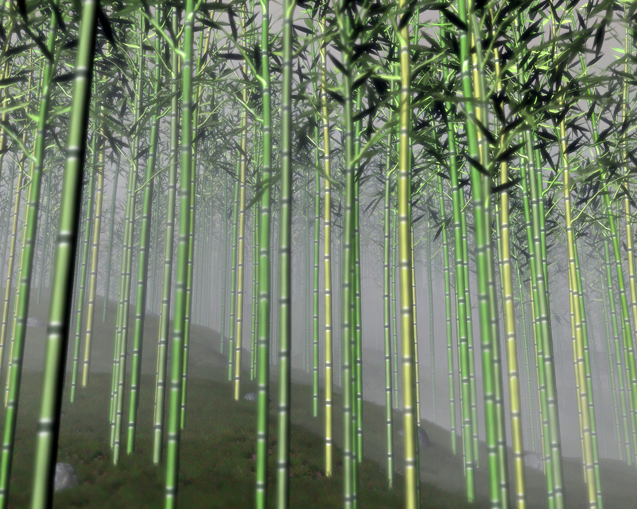 Beautiful Wallpapers for Desktop: Bamboo Tree Wallpapers hd