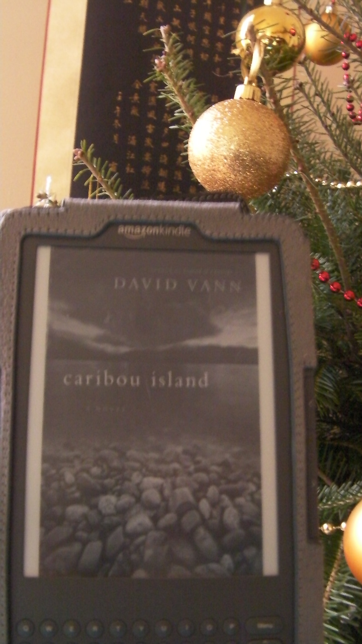 Pause lecture avec Kikine "Caribou Island" ("Désolations") de David
