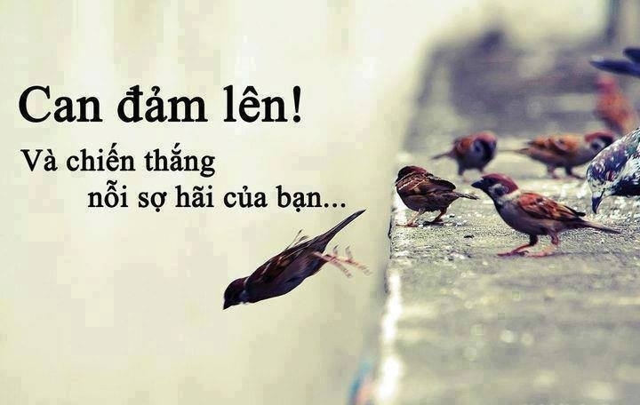 can đảm lên và chiến thắng nỗi sợ hãi của bạn