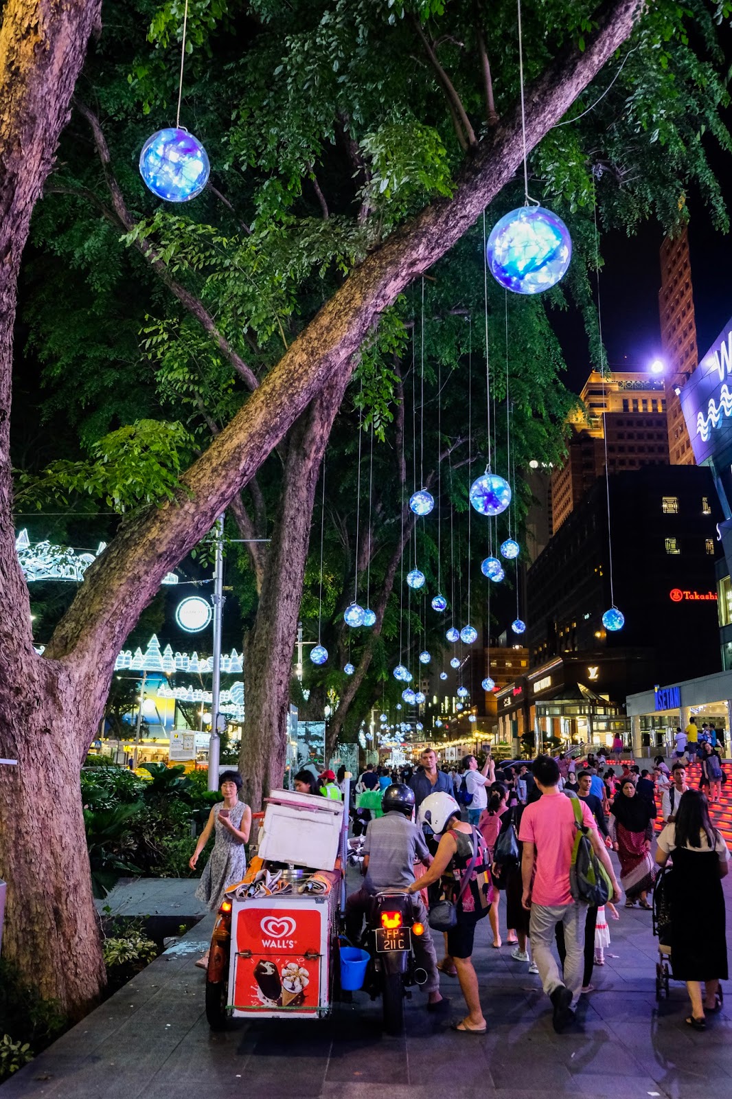 orchid road at christmas time singapore