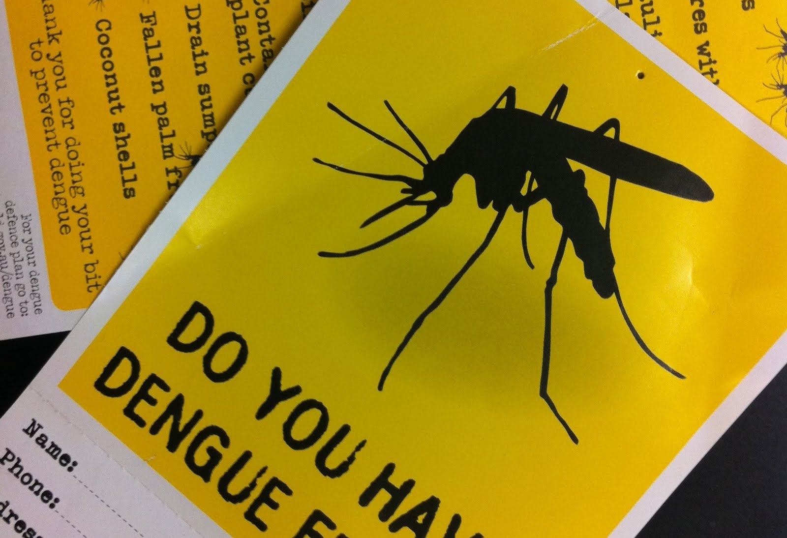 лихорадка денге комар. лихорадка денге заболевший. комар денге. комары 2023. лихорадка денге 2023.