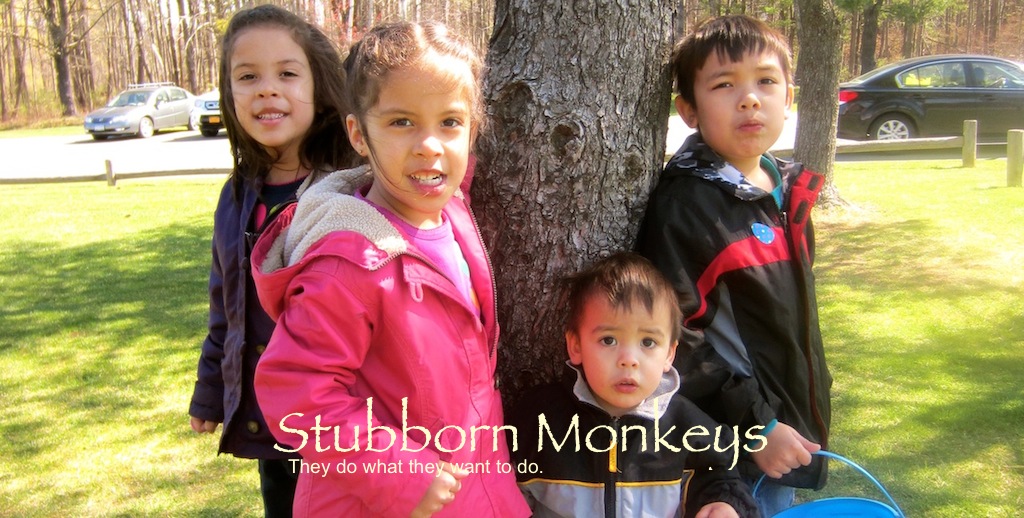 Stubborn Monkeys