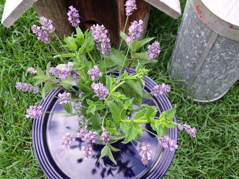 ARCE French of Heart Lavender and Mint