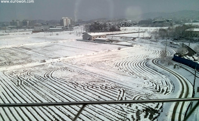 Paisaje nevado visto desde el tren KTX de Corea del Sur