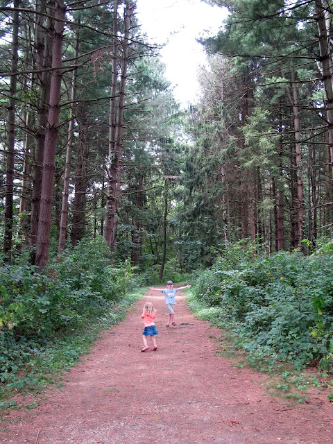 Walking Trail at The Wilderness Center
