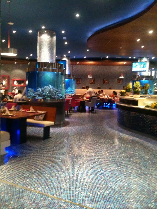 A Little Oryx in Qatar L’wzarr Seafood Market at Katara Cultural Village