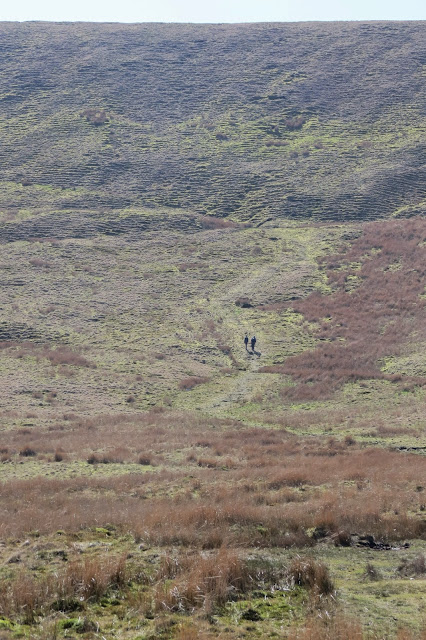 A shot of two walkers ahead, looking tiny on the side of Pendle Hill.