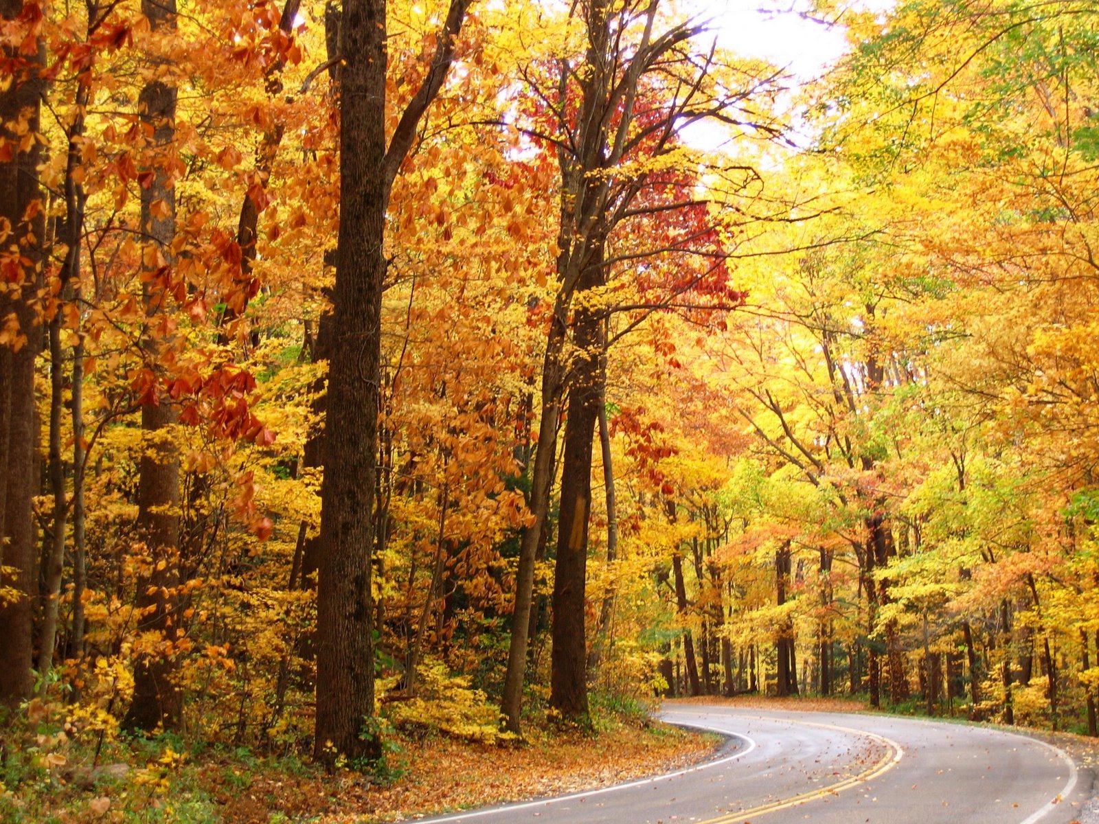 The Graceful Helper: 20 Things I love about Fall The Graceful Helper: 20 Things I love about Fall