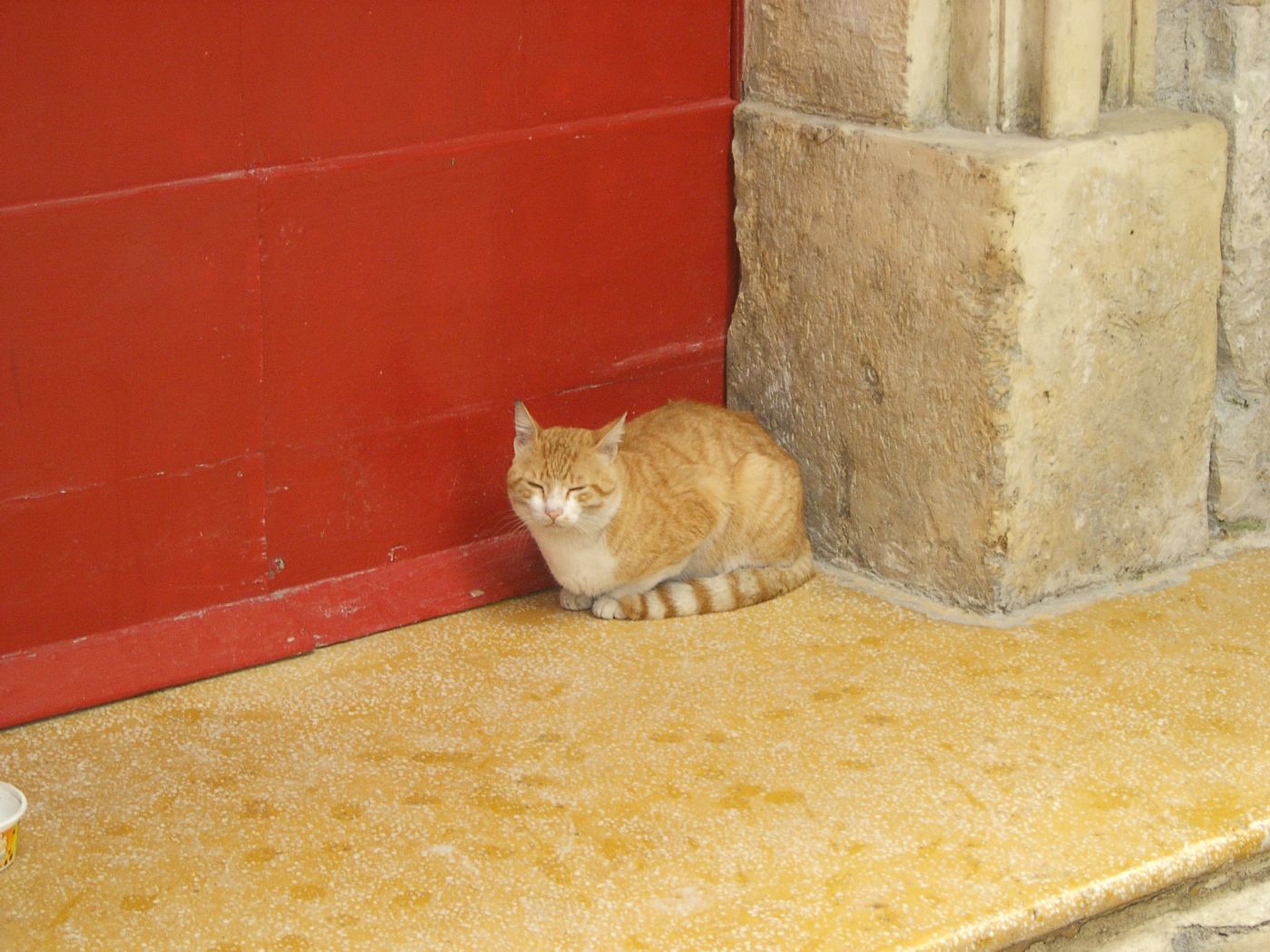 saraccino Inspirations Cats (Malta 2008)