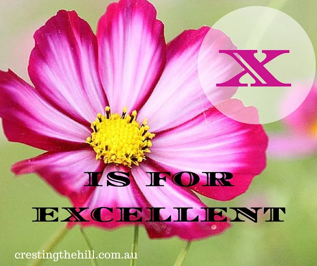 The A-Z of Positive Personality Traits - X is for eXcellent - www.crestingthehill.com.au