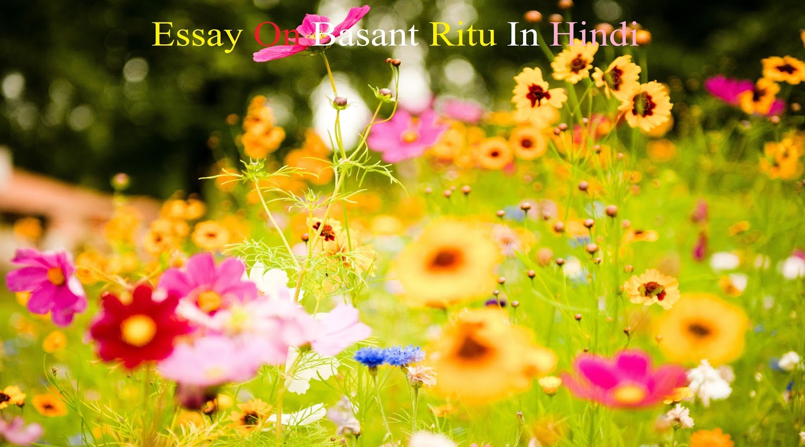 basant ritu essay in hindi