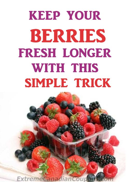 Journey to Health Back to the Basics How to Make Your Berries Last