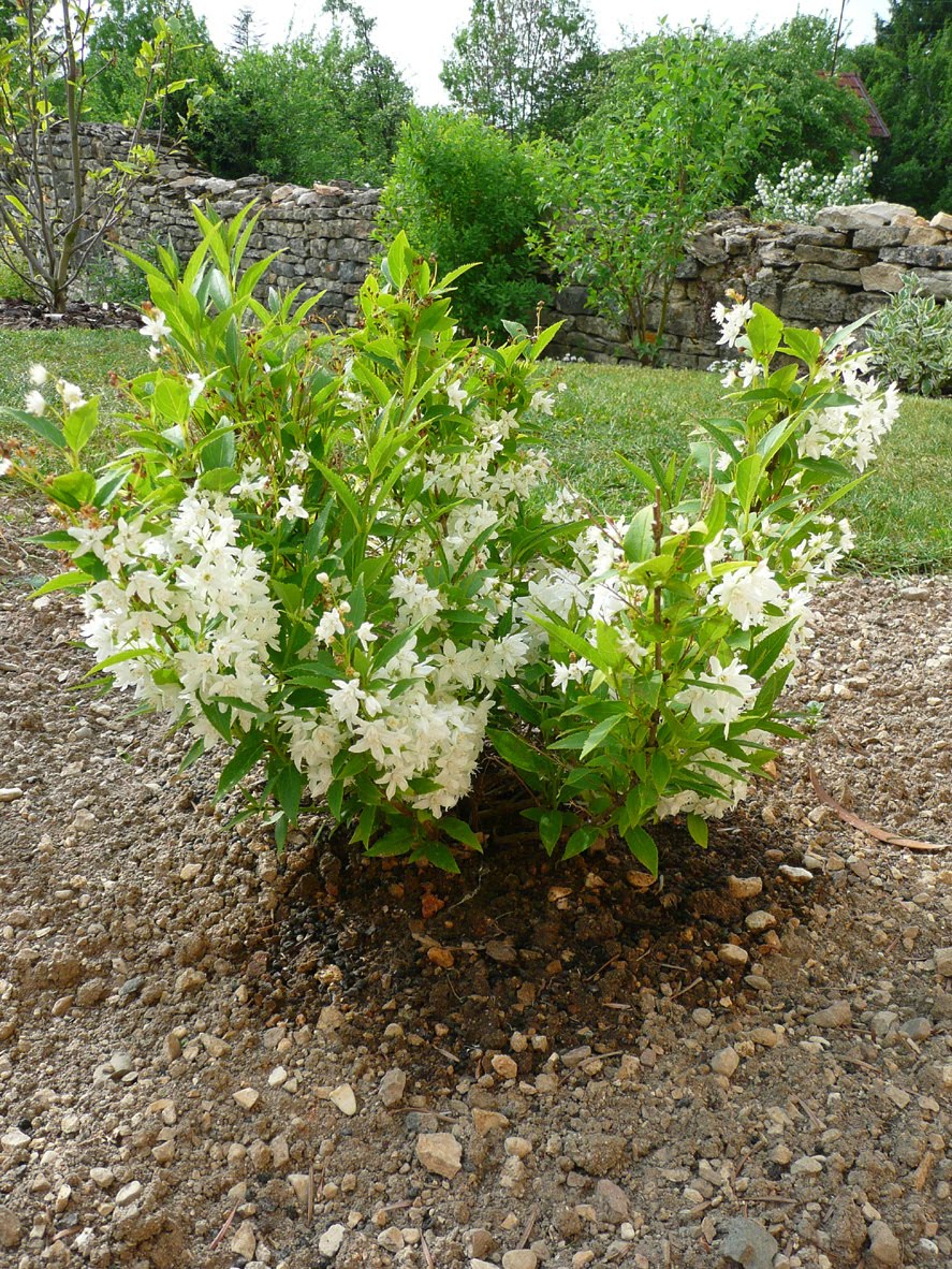 Ch Catalogus 2018 2019 Totaal