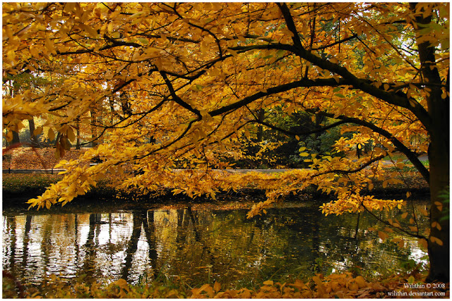 Our Beautiful World: Amazing Autumn