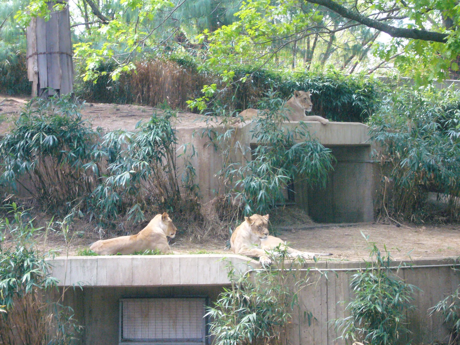Daniels Run Elementary: 2nd Grade Zoo Field Trip