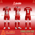 Áo Bayern Tự Thiết Kế Đẹp 2019 - Mã ALB BA09