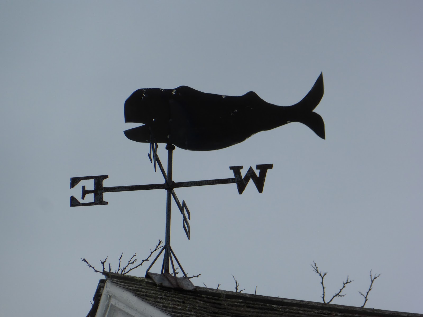 Nutfield Genealogy Weathervane Wednesday A collection of weather