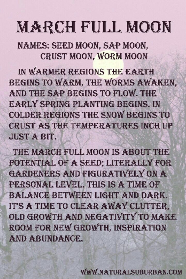 Apple River Tarot Readings It's Not The Destination, It's The Journey