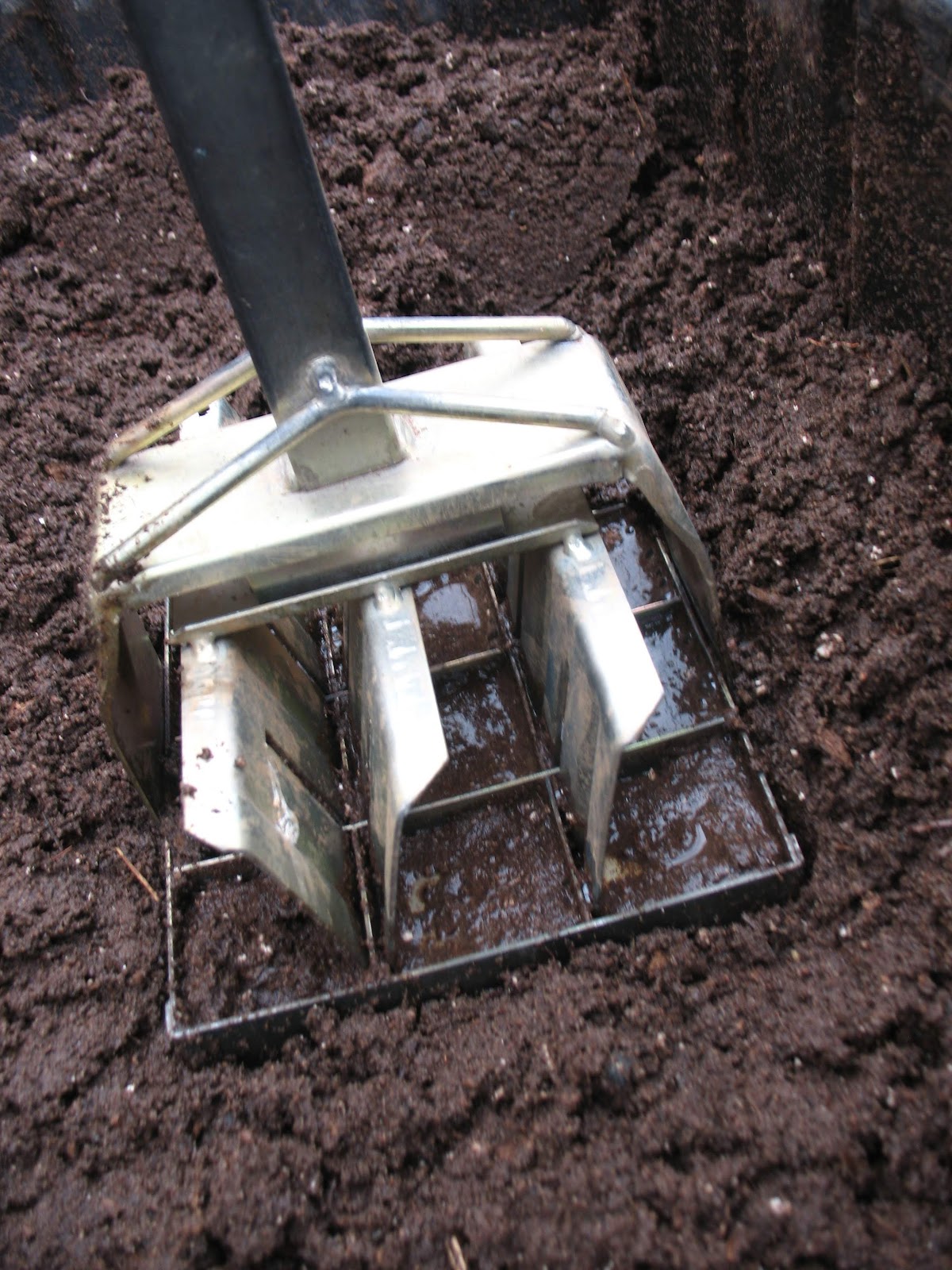 Girl with the Green Hair Getting Down and Dirty with Soil Blocks