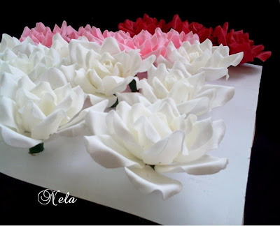 Trandafiri albi ,rosii si roz