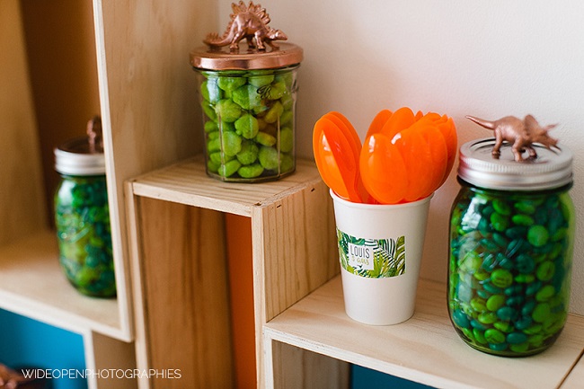 botes-decorados-dinosaurios