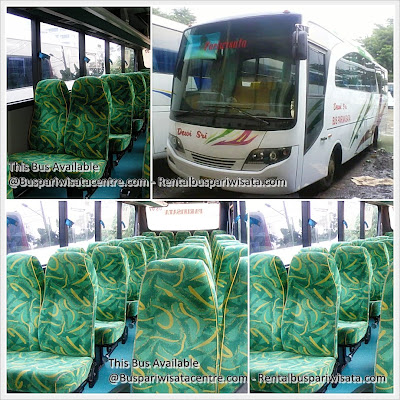 Dewi Sri: Solusi Transportasi Pariwisata Anda yang Terpercaya