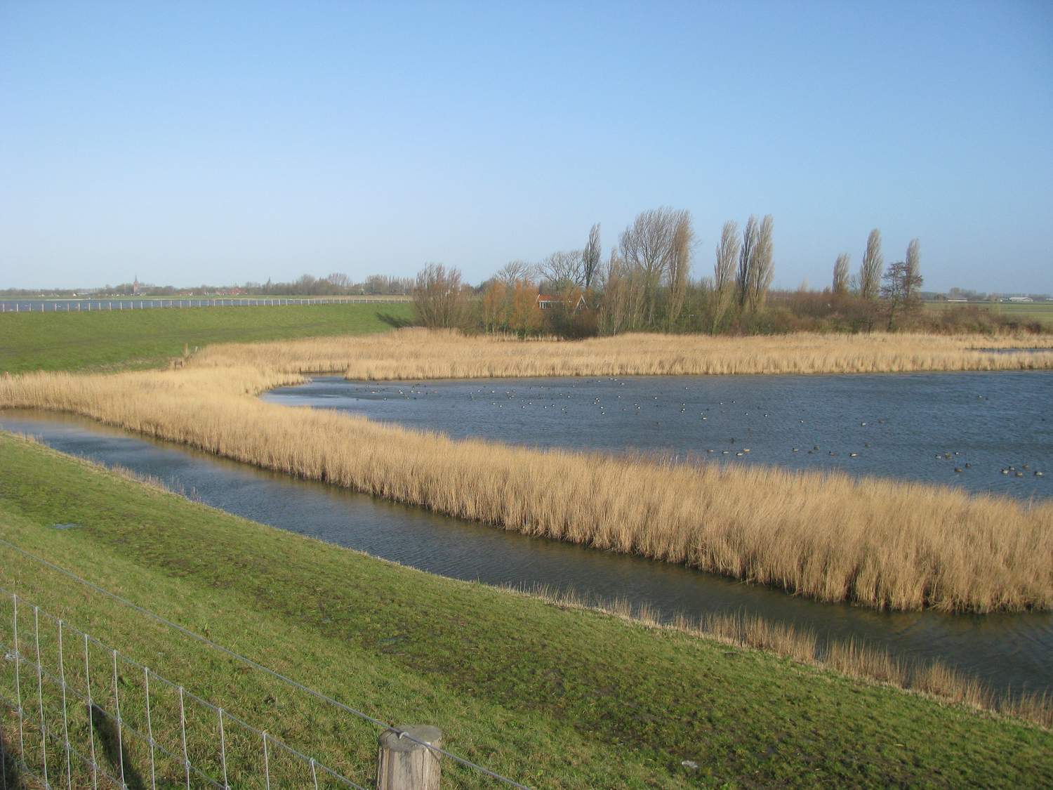 Questie-van-tijd: Zeilen op de wind van vandaag