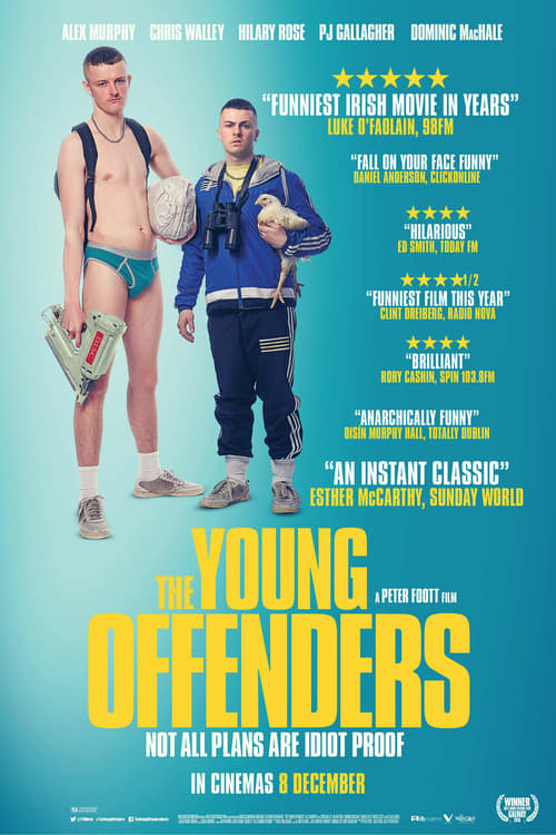 [HD] The Young Offenders 2016 Pelicula Online Castellano