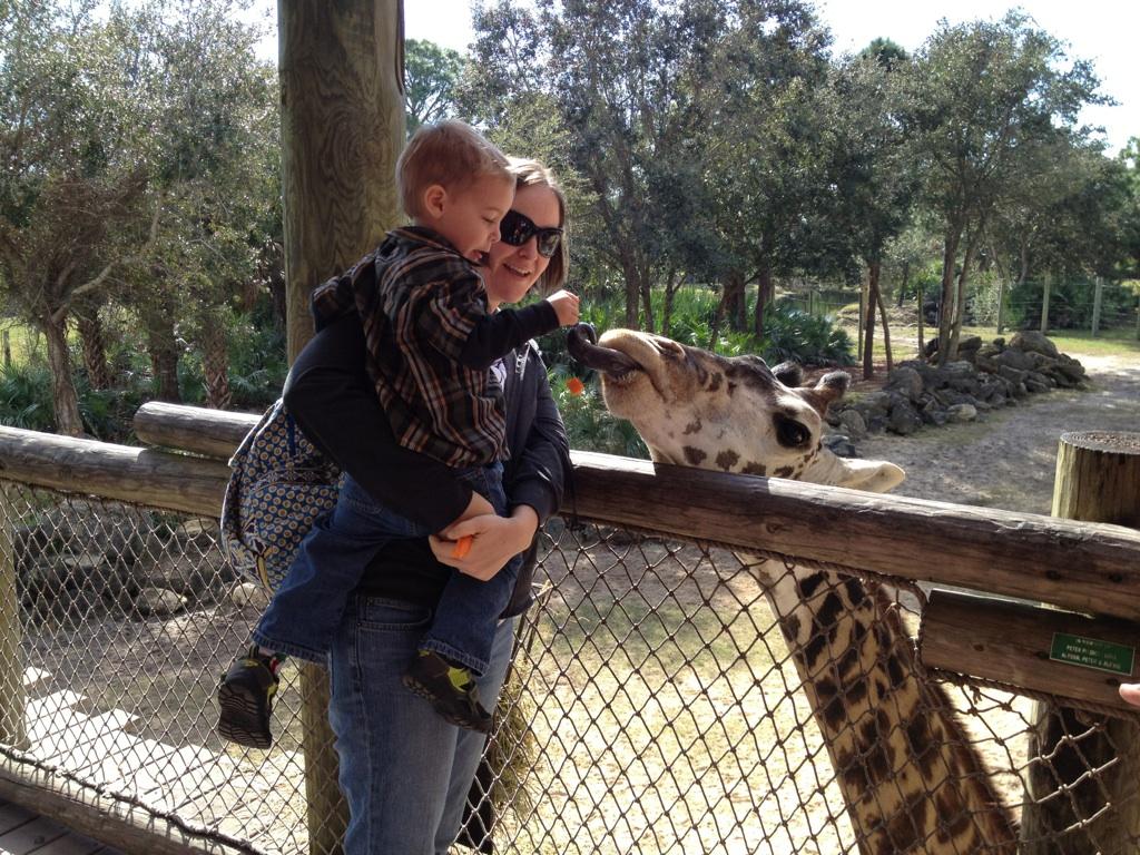 3 in 2: Put Me in the Zoo! December 28, 2012