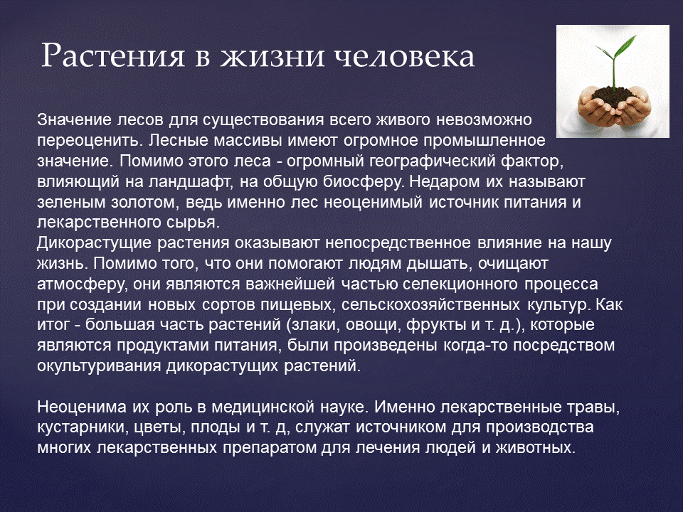 общее в людях и растениях. использование растений человеком 5. значение растений для животных и человека. ратсенияв жизни человека. значение дикорастущих растений в природе.