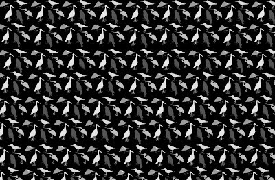 Joanne Young Illustration: Bird Pattern in a repeat