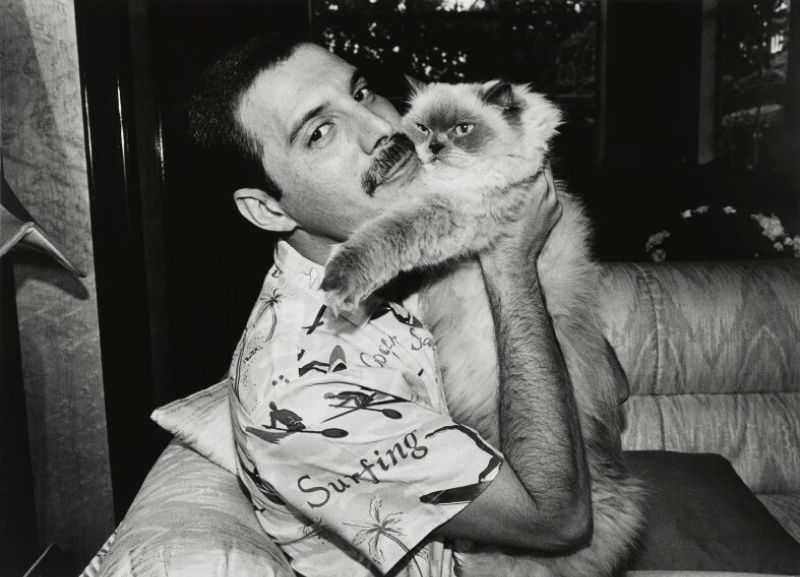An Extraordinary Friendship 18 Fascinating Photographs of Freddie