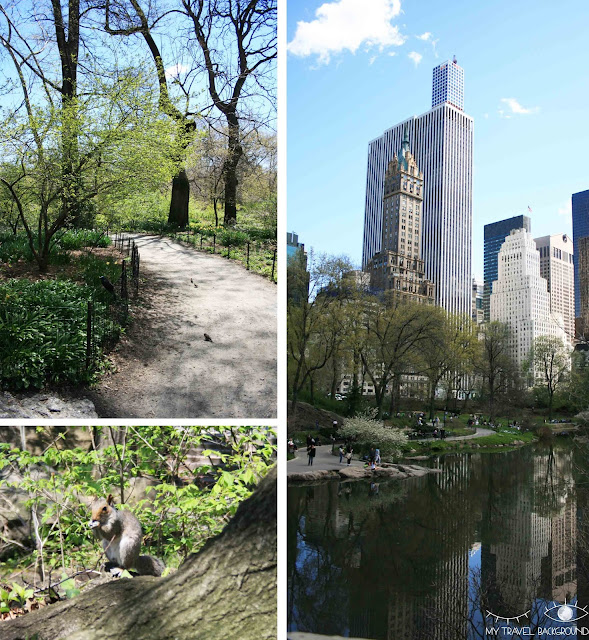 My Travel Background : Central Park, New York