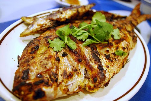 Grilled fish photo by avlxyz