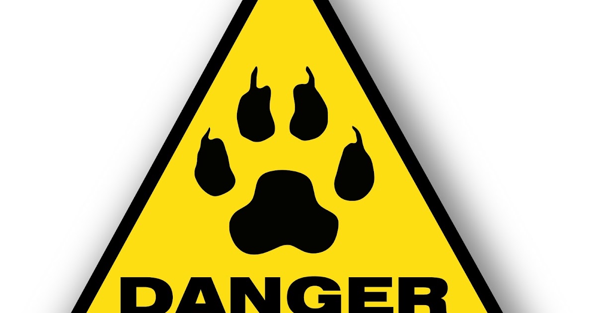 rinderherz_hund — Der Hundeblog