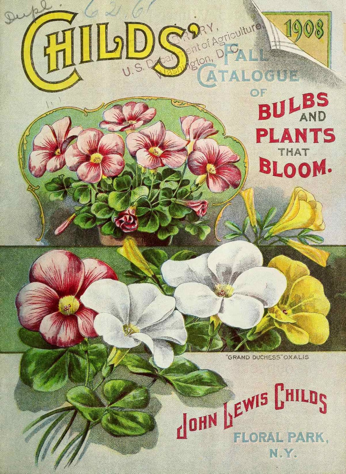 Tenth Letter of the Alphabet Lettering John Lewis Childs’ Catalogues