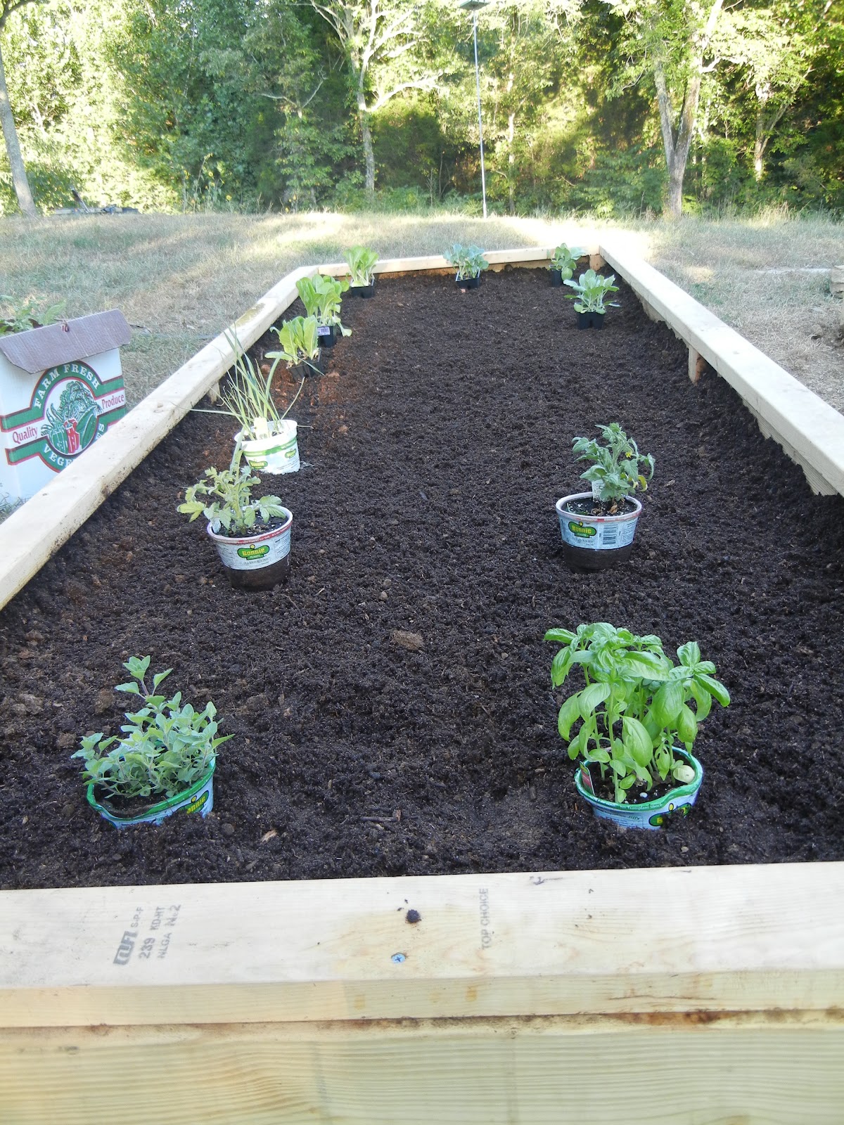 Big Happy Nest Building Raised Beds
