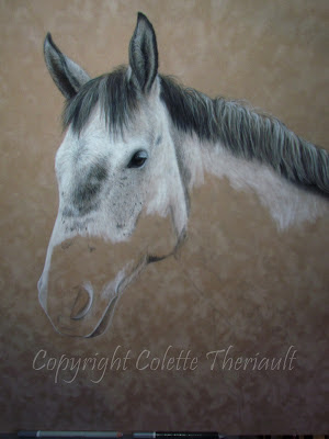 Horse Portrait in progress by Canadian Animal Artist Colette Theriault