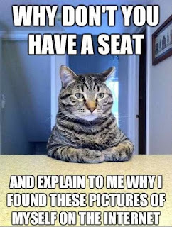 Cat Memes Photos Cat Memes Photos